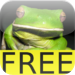 Amazing Wild Nature Puzzles Free